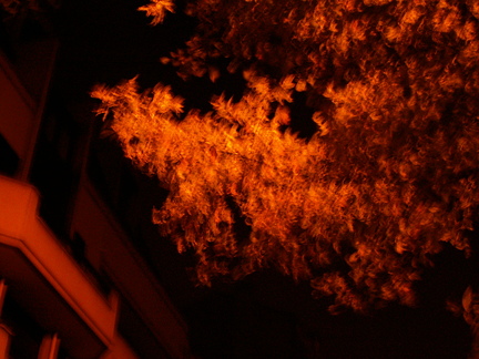 20061022 042134